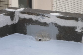 ウレタン一層目/改修用ドレン